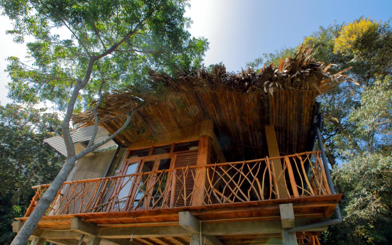 The Winsome & Tree House Bed & Breakfast Ella Exterior photo